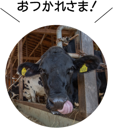 おつかれさま！