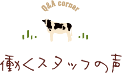 Q&A corner 働くスタッフの声